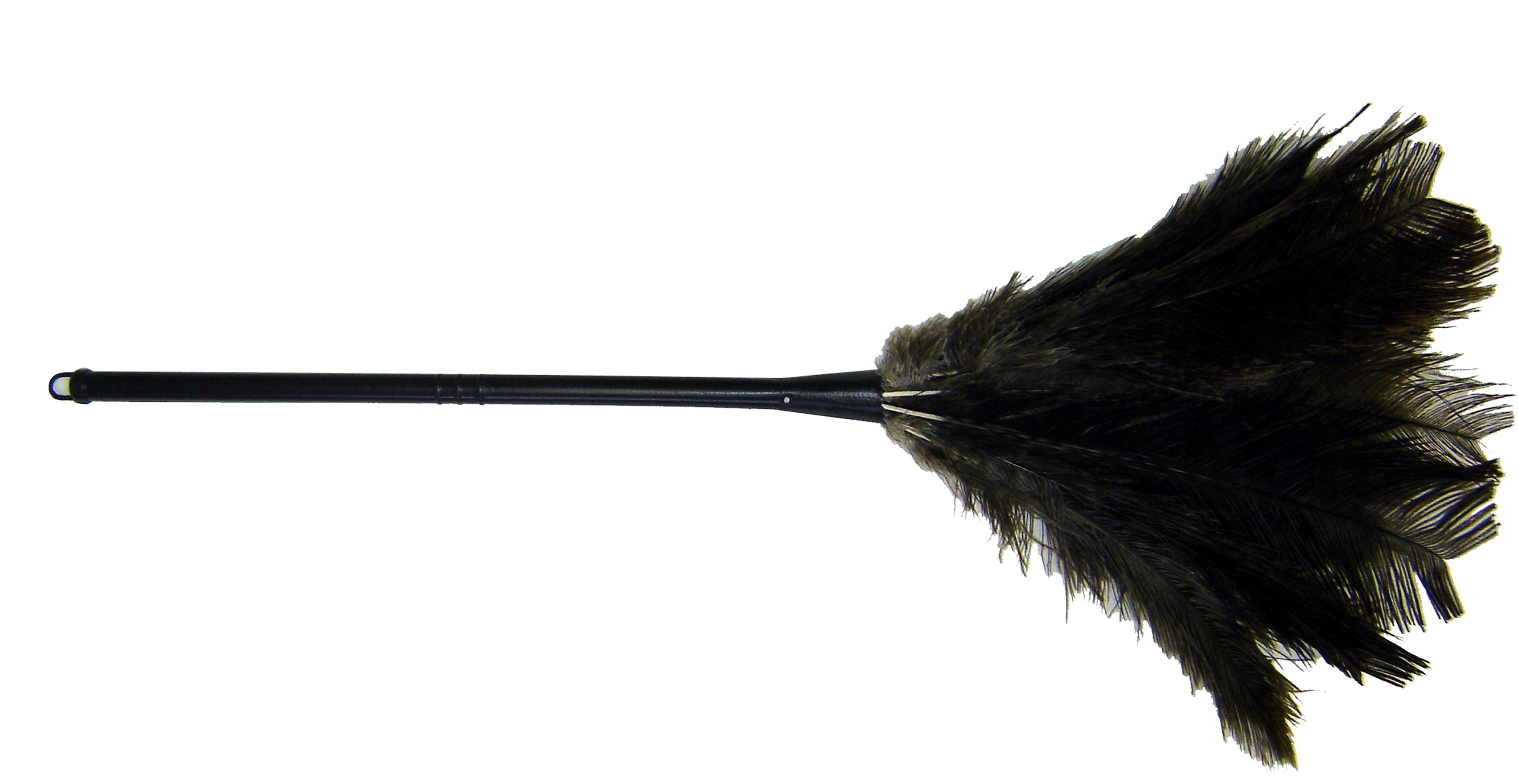 ESPANADOR PENA MADEIRA N.60