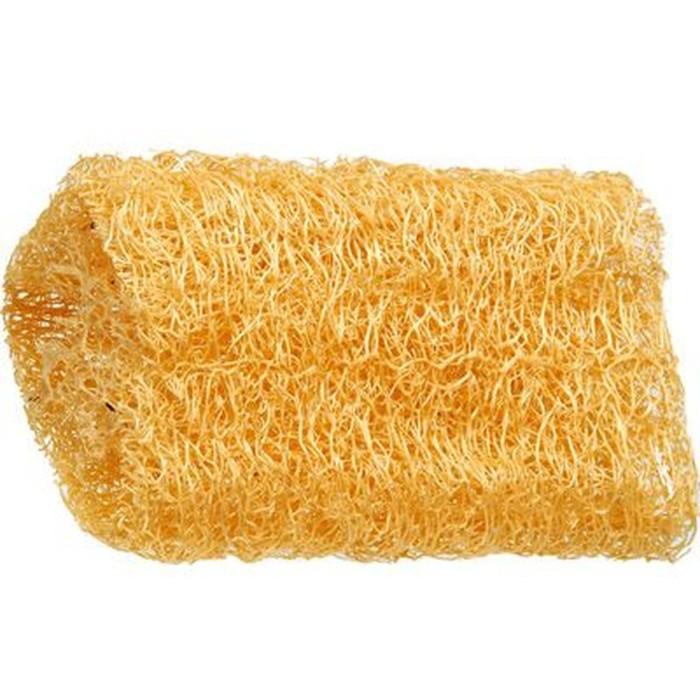 BUCHA VEGETAL 20CM