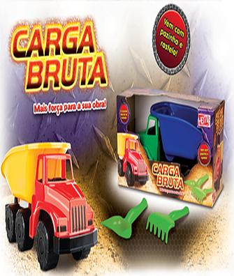 CAMINHAO CARGA BRUTA C/ACESS